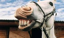 转身，发现你在