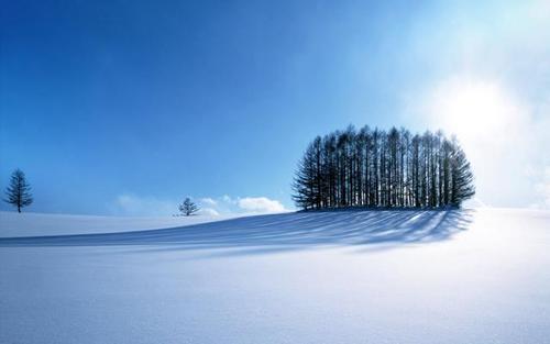 北海道的雪