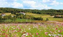 花样年华，诗意青春