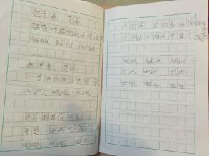 西瓜观察日记