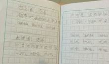 种西瓜观察日记