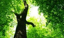 命在手，生在行