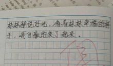 某某人的二三事作文