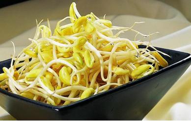 大豆芽的生长