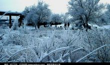 写大自然景色的作文