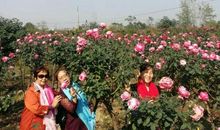 有亲人的感觉真好