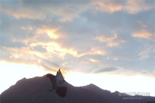 在暴风雨中飞翔