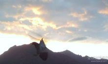 在暴风雨中飞翔