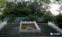 西风残照又一年