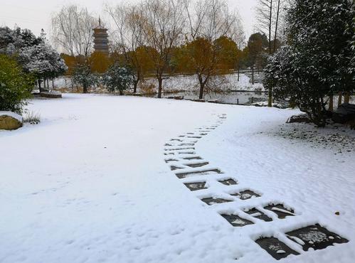 又下雪了一年