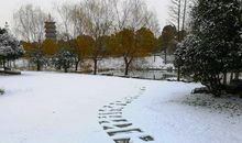 又是一年飘雪时