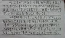 我喜爱的小狗作文300字