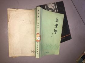 绿叶像
