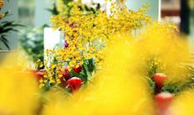 喜欢那一抹清香