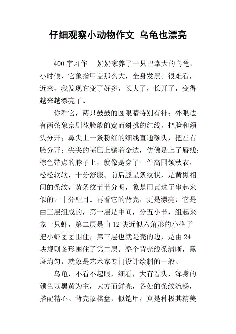 我的故事与小乌龟