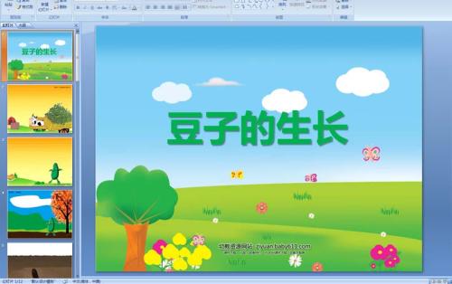 蚕豆的生长