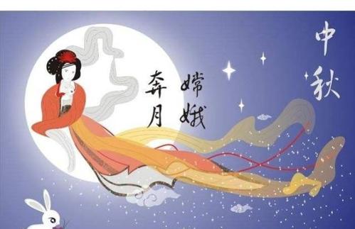 我与后yi的一天