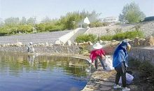 您如一泓碧水，灌溉我的青春