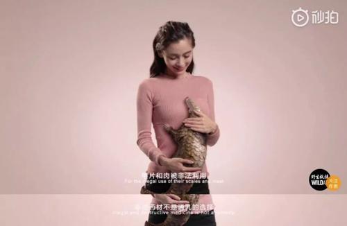 首次公益广告