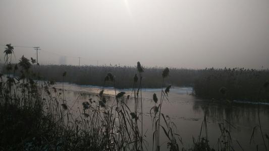 我爱我的家乡白洋淀