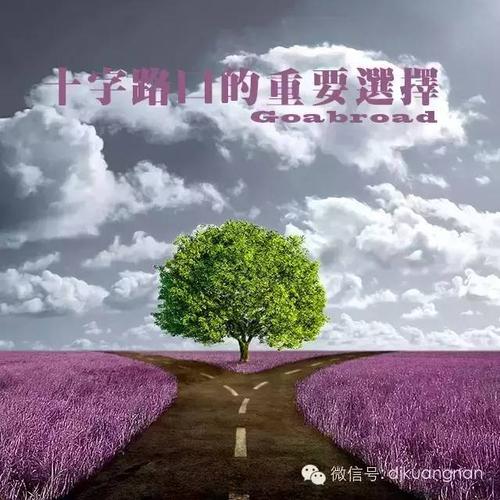 交点选择