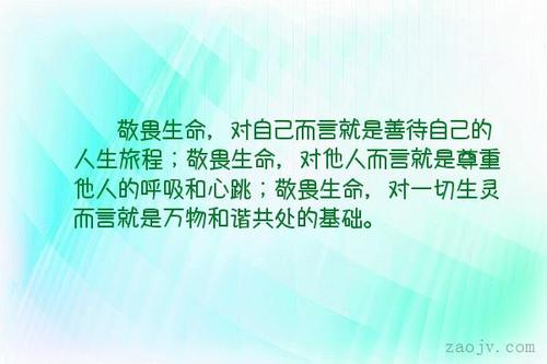 您，照亮了我们的人生旅程