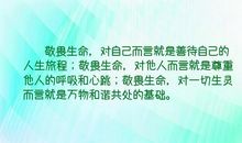 您，照亮我们生命的旅途