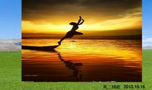 让梦想乘着“诗”飞扬