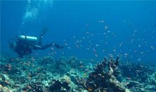 难忘的潜水经历