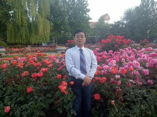为你停下来