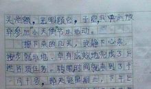 精彩的一天作文300字