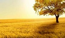 给他人留些空隙