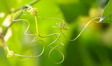 指间上流动的音符