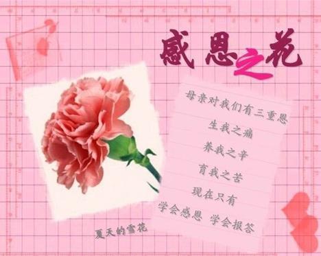 珍惜和感恩节