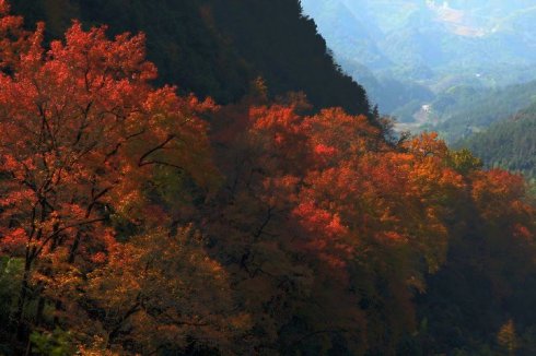天空想象