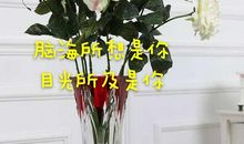 来自暗夜夏风未央