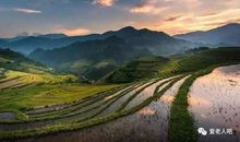 假如我有一块田