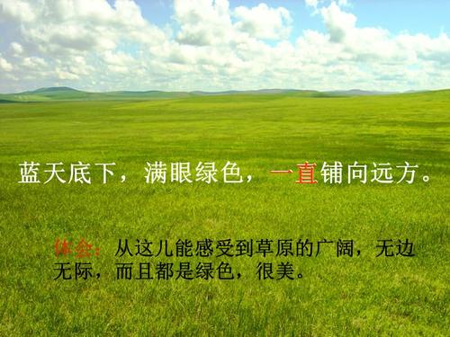 美丽的锡林郭勒大草原作文400字