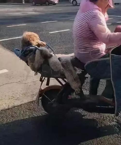 我走近时才发现