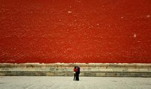 我改变了冬的色彩