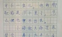 我应该感到自豪才对续写