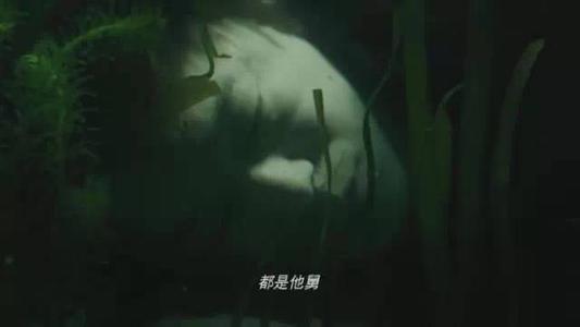 当最温暖和情感