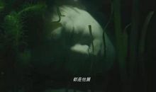 最是温情感动时