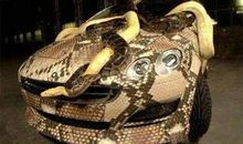 走近了，才知道