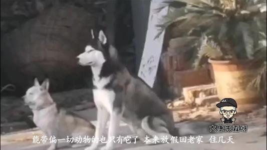 不能闲着的妈妈