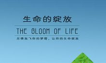 绽放生命的意义