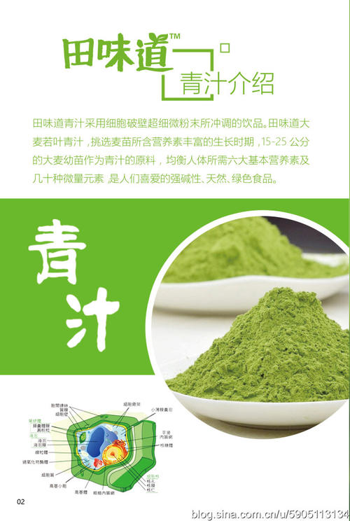 关怀的味道