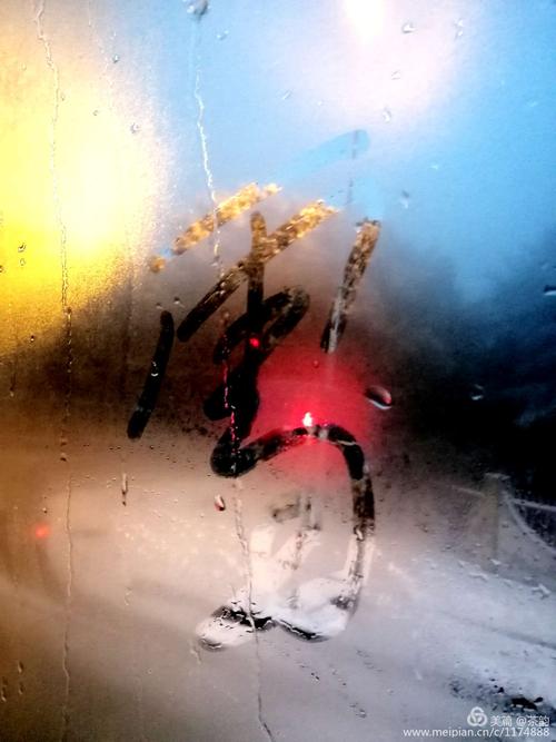 我没有错过那场雪