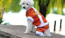 我的狗狗“风”