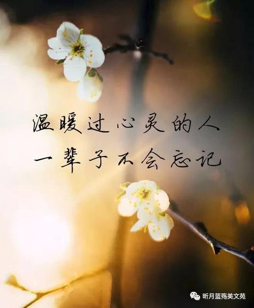 re悔的幸福